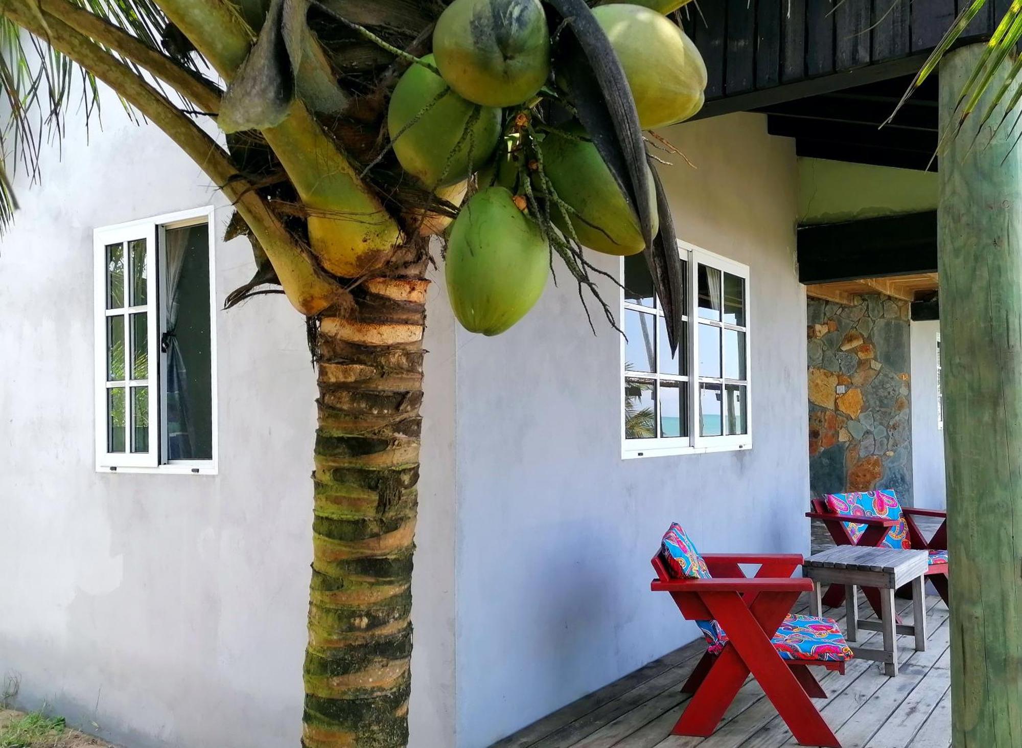 Afro Beach Eco Resort Butre Kamer foto