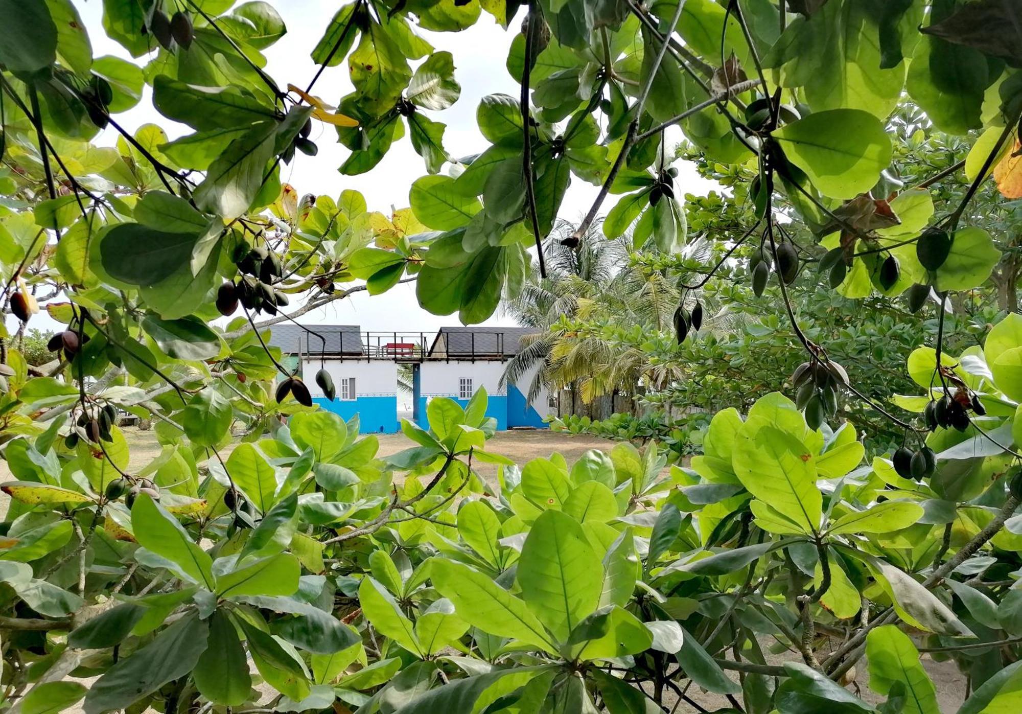 Afro Beach Eco Resort Butre Kamer foto