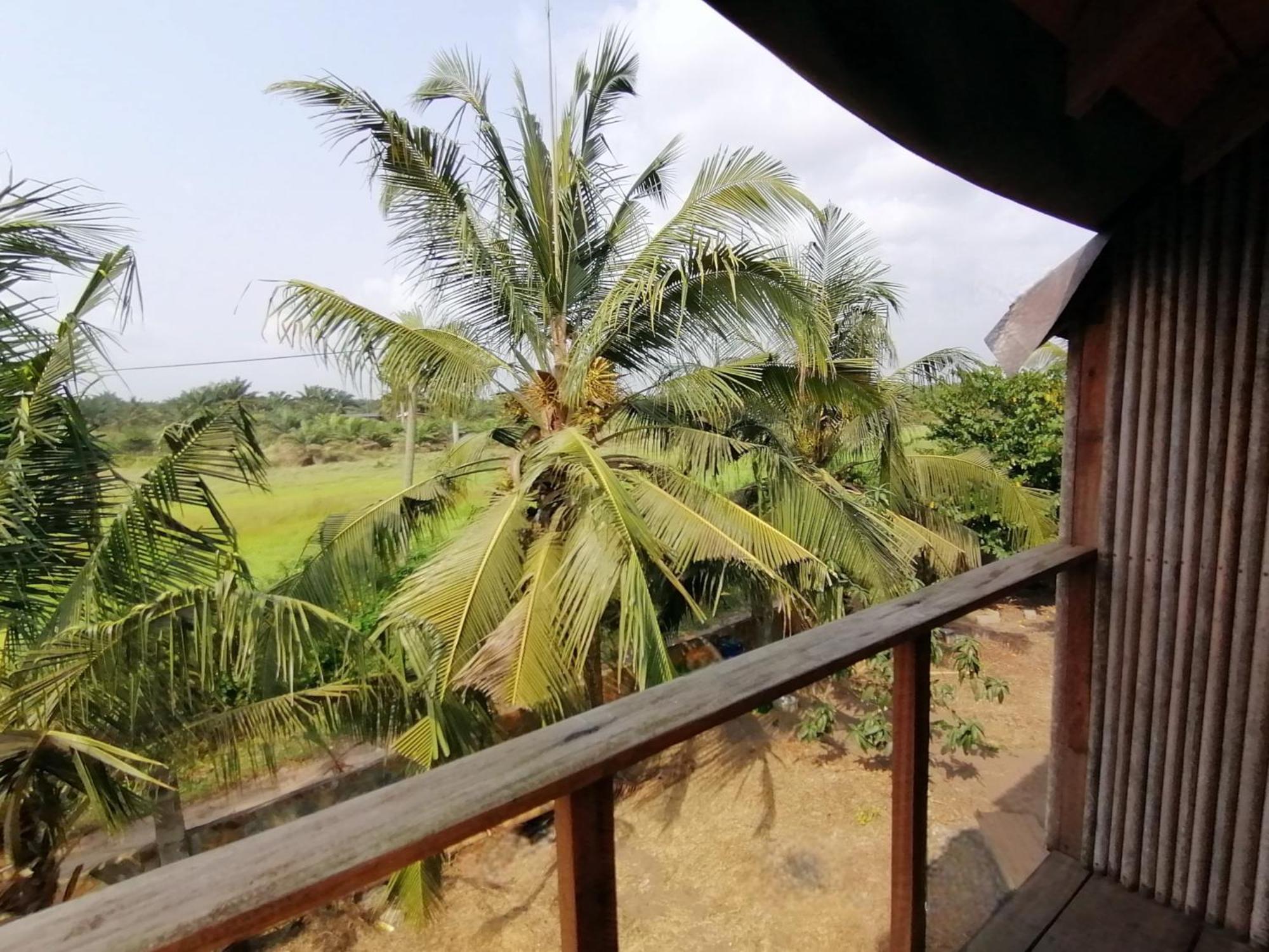 Afro Beach Eco Resort Butre Kamer foto